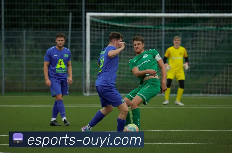 欧亿电竞平台APP 封面图